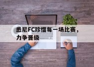 金年会官方入口-悉尼FC珍惜每一场比赛，力争晋级