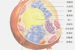 金年会官方网站-乌克兰队突围晋级，成为亮点球队(乌克兰队突围晋级,成为亮点球队怎么办)
