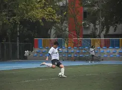 伊朗淘汰日本男乒